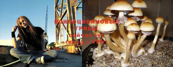 гидра Балабаново