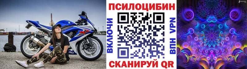 Галлюциногенные грибы Psilocybine cubensis  мега ТОР  Котовск 